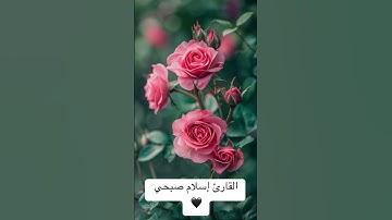 القارئ #إسلام_صبحي 😴😴