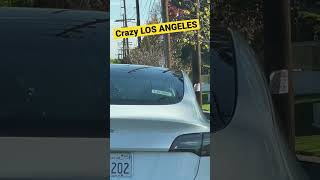 Crazy TESLA in LOS ANGELES