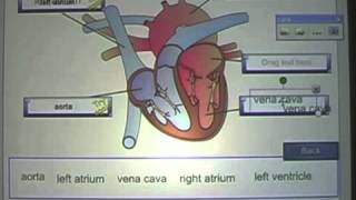Lesson Activity Toolkit 1