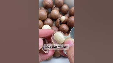 Cách làm sữa hạt dinh dưỡng tại nhà với 3 loại hạt dinh dưỡng siêu bổ – Macca, Hạnh Nhân, Óc Chó