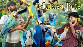 Exotic Birds from 1500rs | Talking Birds | Mufasa pet shop | Beginner Tips // harthick voice