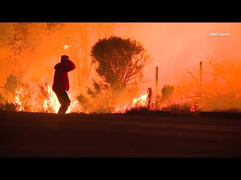 WEB EXTRA -