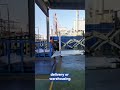 Sea Freight to Sydney | DDP Door-to-Door Full Solution~