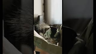 Kanadada Ekonomiye Yeni Can Merkez Bankası Faiz Oranını Düşürdü