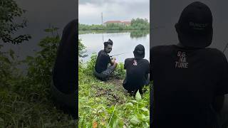 Ada Ular di Belakang! 😱 Cemong Kabur, Buncul Malah Santai! #shortsfeed #shortvideo #snake