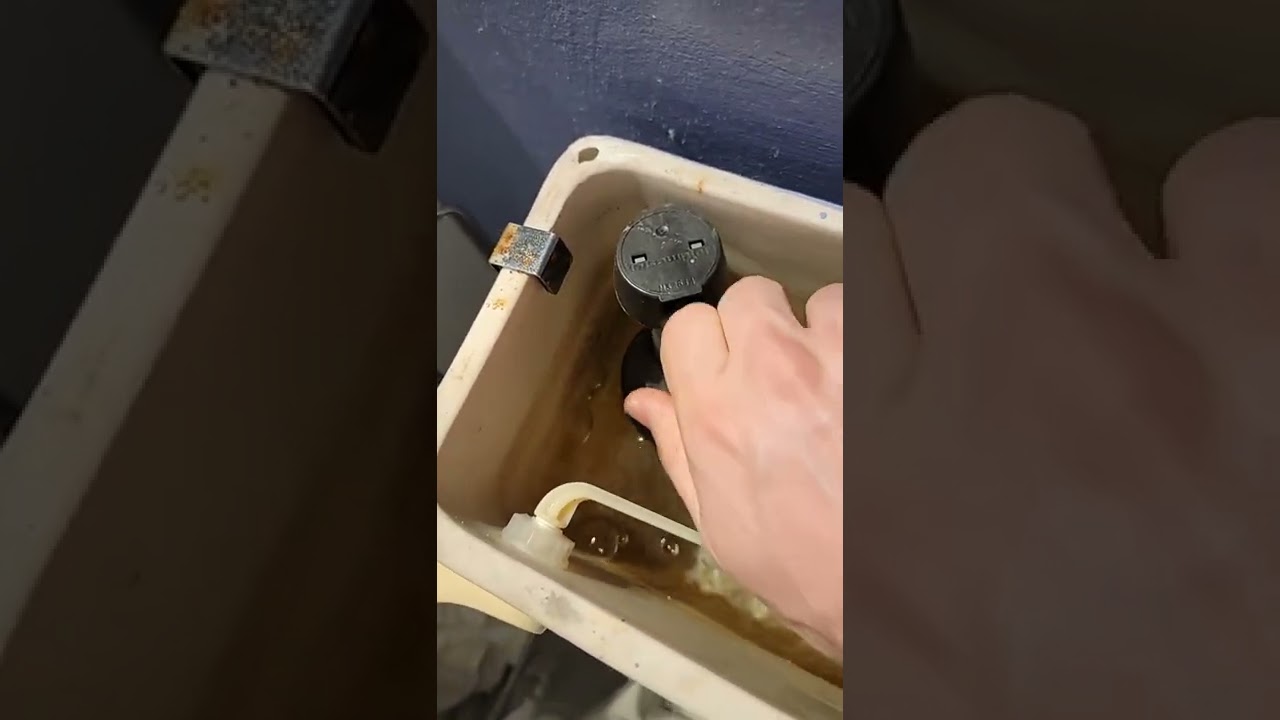 Dont put fabuloso in the toilet! 