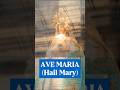 🙏 AVE MARIA (Hail Mary) | Latin Prayer | Catholic Prayer #avemaria #hailmary #latinprayer #catholic