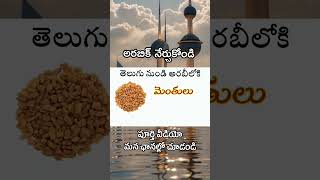 ప్రతిరోజు ఉపయోగపడే చిన్న చిన్న పదాలు / #spices #spokenarabic #arabiclanguage #translation