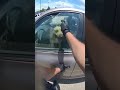 COP saves DOG, from LOCKED CAR!! #dogshorts #dogs #dogrescue #dog #doglove #doglife #justdogs