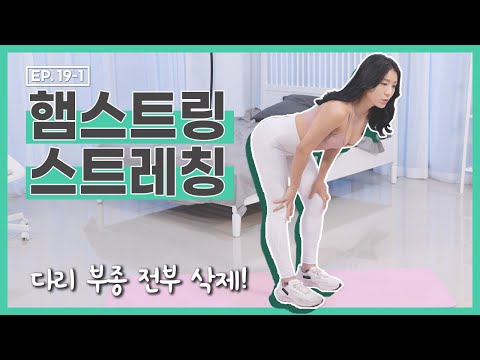 [더 바디핏] <strong>EP</strong>.19-1 HOME <strong>TRAINING</strong>-01 햄스트링 스트레칭 [안소영/김현정]