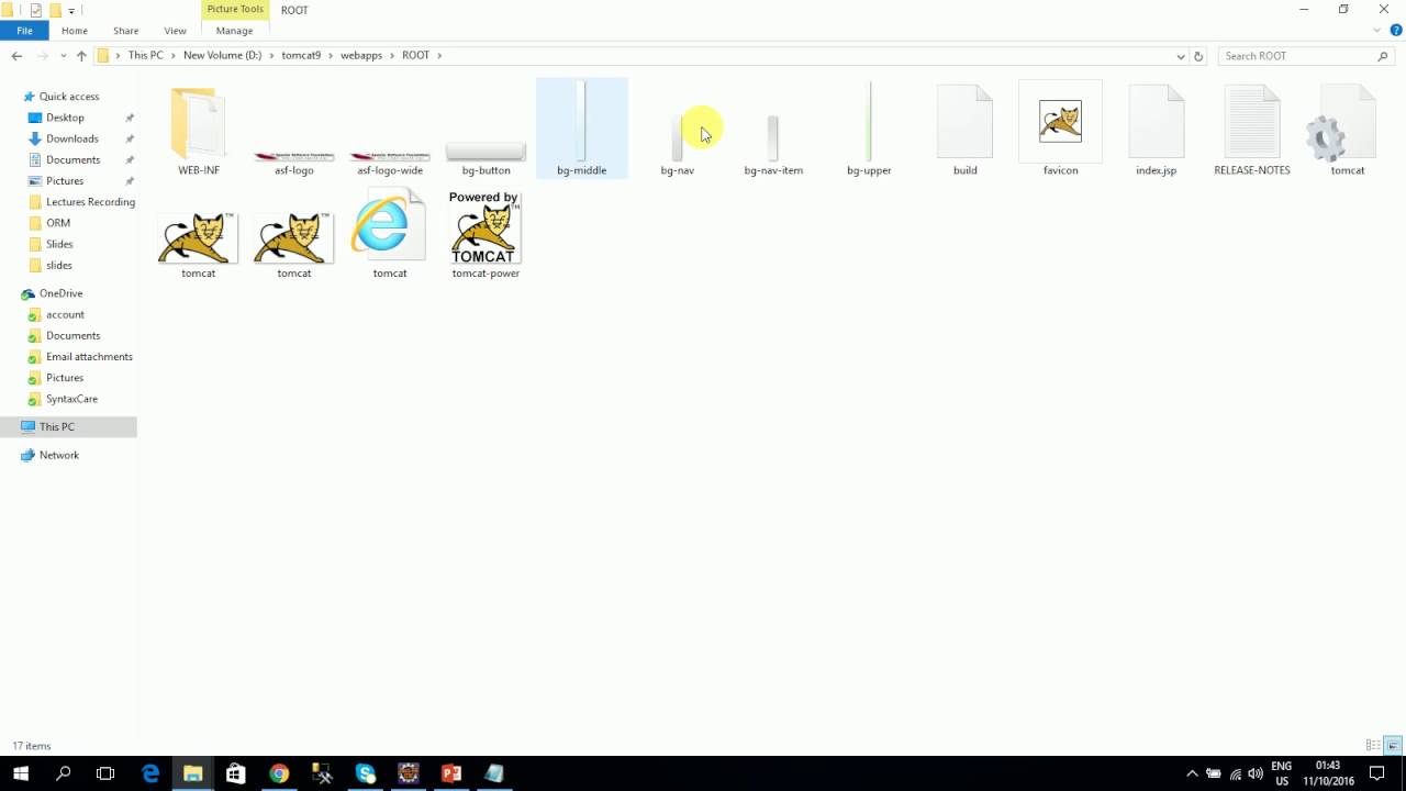 Web Module Structure
