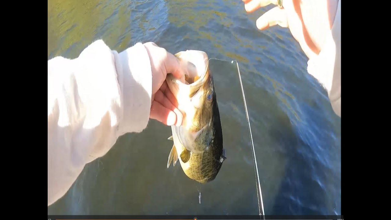 Early Season Bass Fishing Deseronto 2025