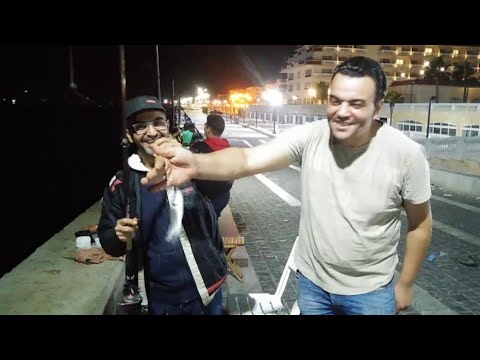 احلى رحلة صيد القاروص بطعم ابو اسامه وسنارة وحيد الصيد في راس البر