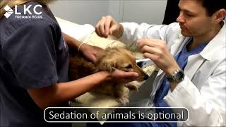 RETevet™ for Veterinary Ophthalmology