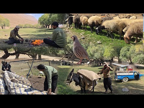 Nomadic Life in the Wild Mountains ⛰️ | Long Journeys Through Untouched Nature 🌿