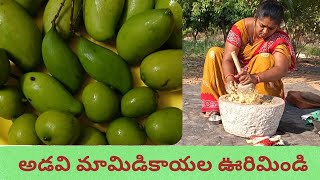కొండమామిడి కాయలు|wild mango+వేరుశనగ|groundnut@చట్నీ#mangochutneyrecipe#villagelife#food