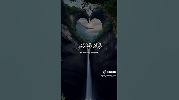 سورة العنكبوت الآية 55 القارئ عبد الرحمن مسعد