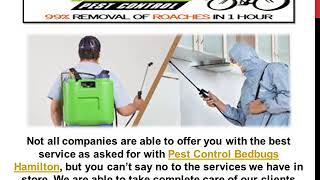 Reasons To Call Us At Speedy Pest Control For Pest Control Bedbugs Hamilton