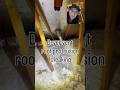 Roof Leak at Dryer Vent Protrusion Found Mold Under Attic Insulation