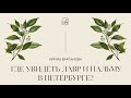 Где увидеть лавр и пальму в Петербурге?