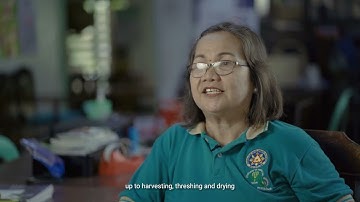 RCEF Arangkada Story: Rizal 3 SN Farmers