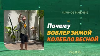 Как температура воды влияет на рыбу и выбор приманки. Уникальная игра литовских колебалок Славика.