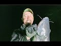 Bow Fishing Giant Catfish, 50 in one night!!
