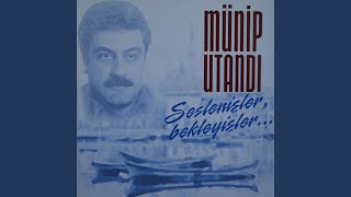 Yaz Günleri En Tatlı Hayaller — Münip Utandı kapak görseli