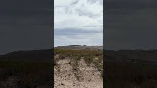 Hot cloudy days in the desert # offgrid life 