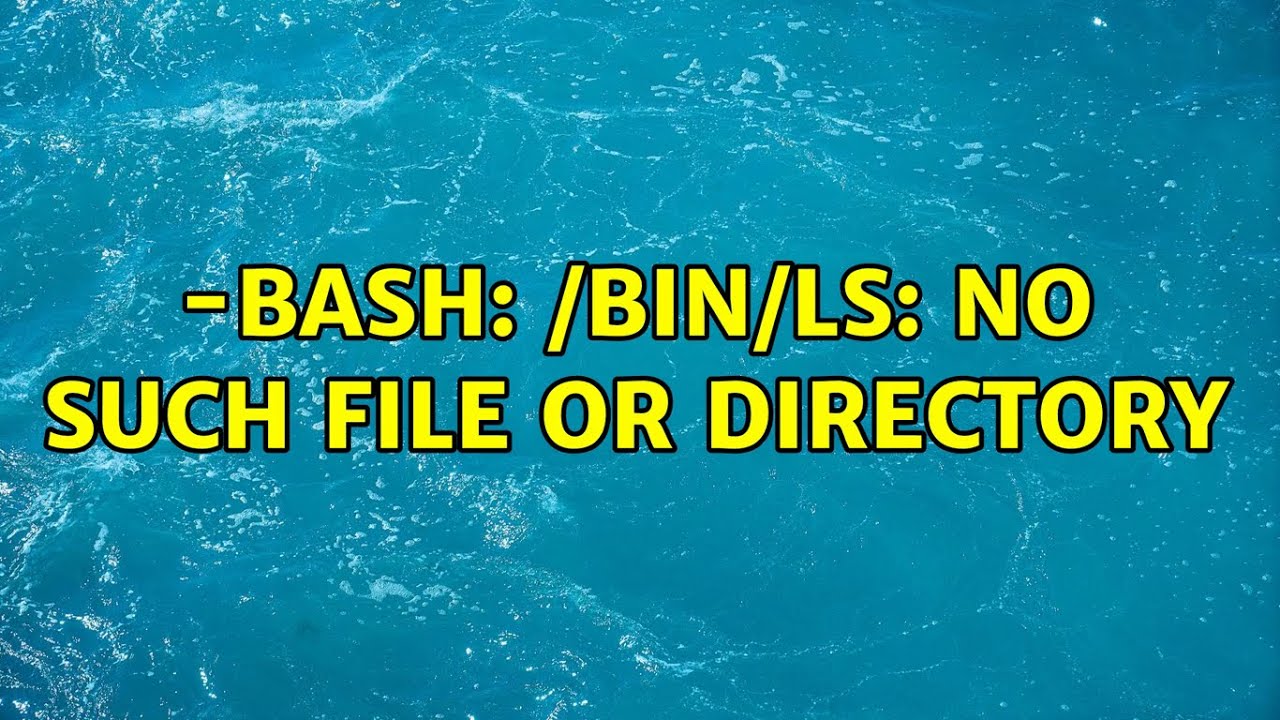 Bin bash no such file