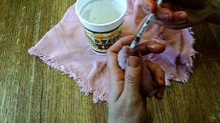 How to syringe or bottle feed a baby bunny rabbit