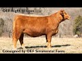 Lot 31 - OEF Right to Love H4