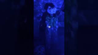 Celebrity Free to duet if there on- #music #furry #lgbtiq #silly Profile