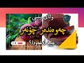 خواردن و دیتنی چەوەندەر چۆنەر چییە لەخەودا 