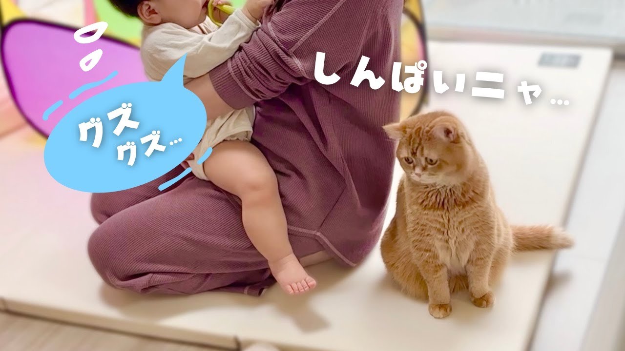 -愛と幸福を置く猫- ねこ肯定感｜抱きまくらLサイズ