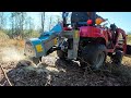 Getting trees out of the way and stump grinding what's left