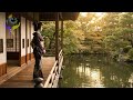 Morning Garden Stillness • Geisha in Open Light • Calm Zen Ambient