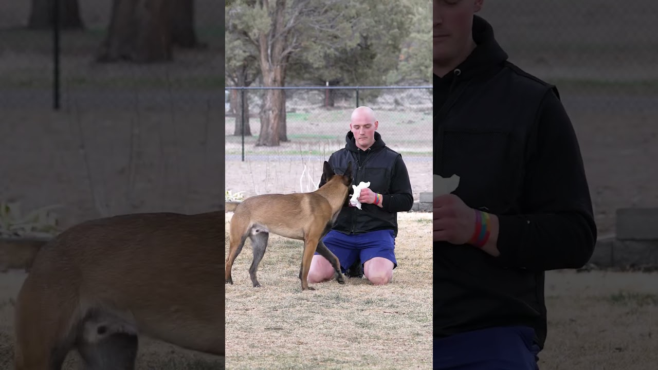 Apparently I shouldn’t try to speak eloquently while trying to stop bleeding. Lol