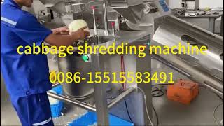 Automatic cabbage core cutting machine cabbage shredding machine#cabbage shredder#