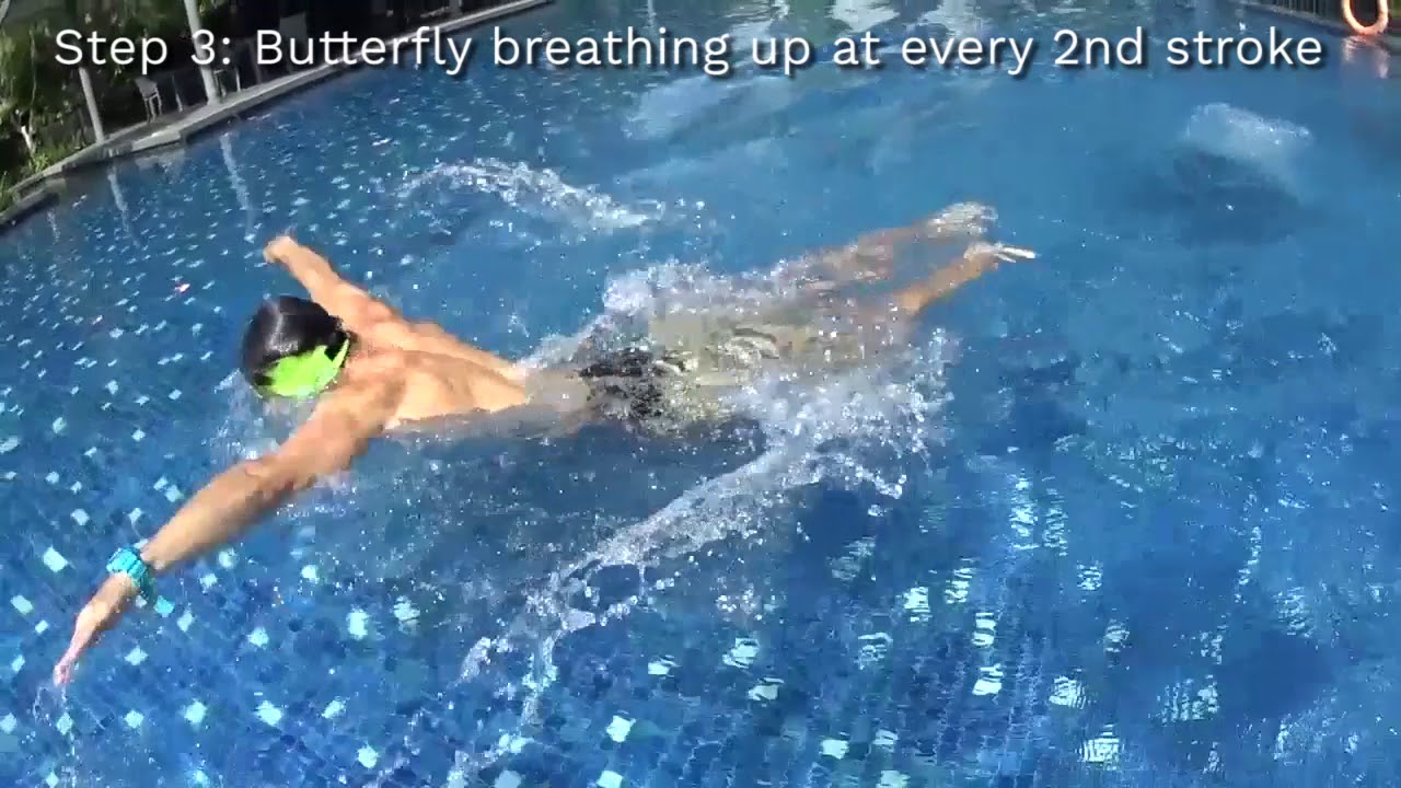 Learn To Swim Butterfly In 3 Steps YouTube learn-to-swim-butterfly-in-3-steps-youtube