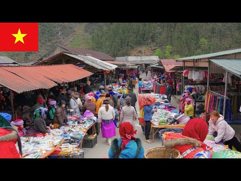 السوق الفيتنامية التقليدية رحلة لاكتشاف سوق    