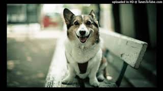 Download Lagu The Offspring - Hit That 432Hz MP3 Download Lagu The Offspring - Hit That 432Hz MP3