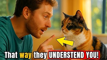 The Secret Language of Cats — How to Communicate So They Get It