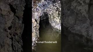 A Small Flooded Adit