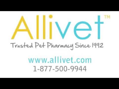 Video: Cefpodoxime Proxetil (Simplcef) - Կենդանիներ, շներ և կատուներ դեղորայքի և դեղատոմսերի ցուցակ