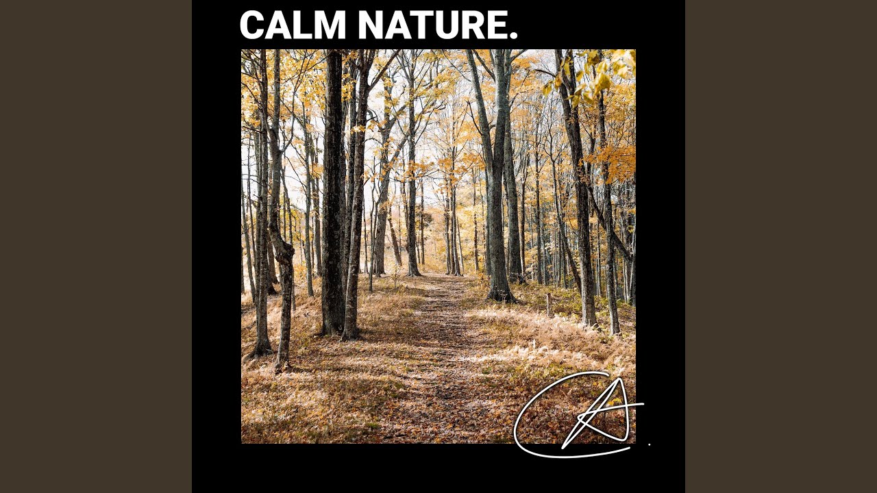 Amazing Crickets sound in Chilling Christmas to help you relax and study