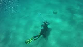 I Dive Cyprus JR Open Water Diver Padi Protaras screenshot 5