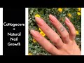 Cottagecore Nail Art + Luminary Nail Systems Fill | Natural Nail Journey