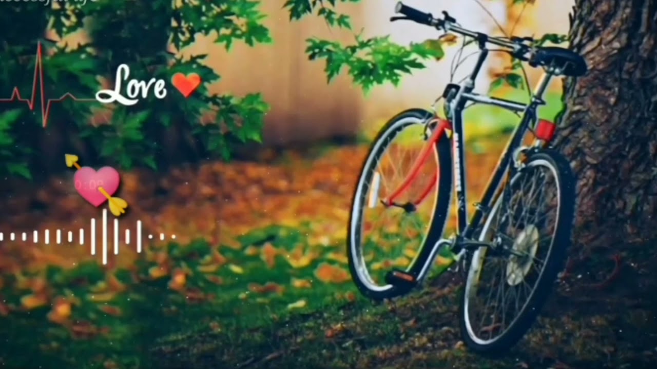 Dolisa Ringtone Whatsupp Statuss!! Assames Flute Ringtone (Dolisa)