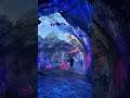 Enter curious, leave inspired